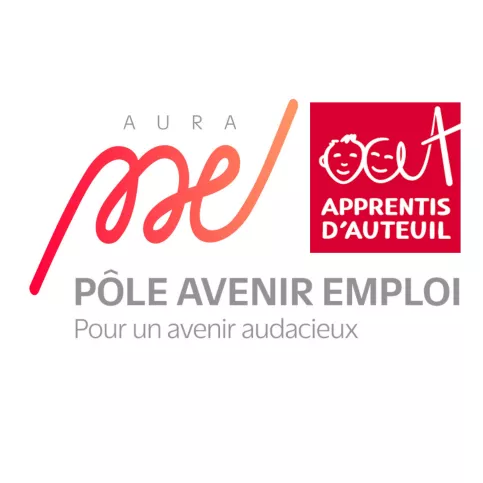 Logo Pôle Avenir Emploi
